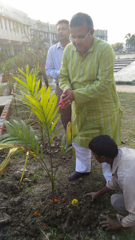 Tree Plantation 2017 to commemorate the death anniversary of Shri Dhurjoti Banerjee