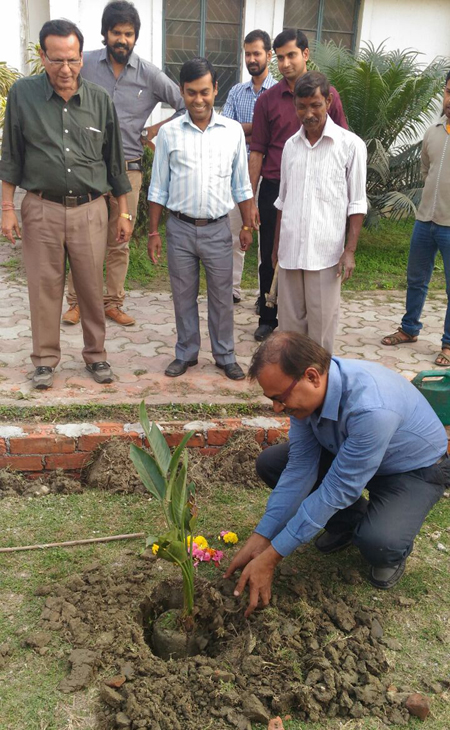 Tree Plantation 2017 to commemorate the death anniversary of Shri Dhurjoti Banerjee